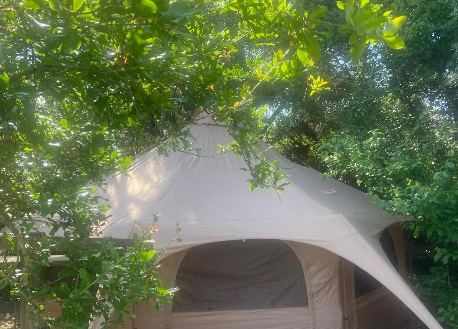 Cártama Finca Fahala